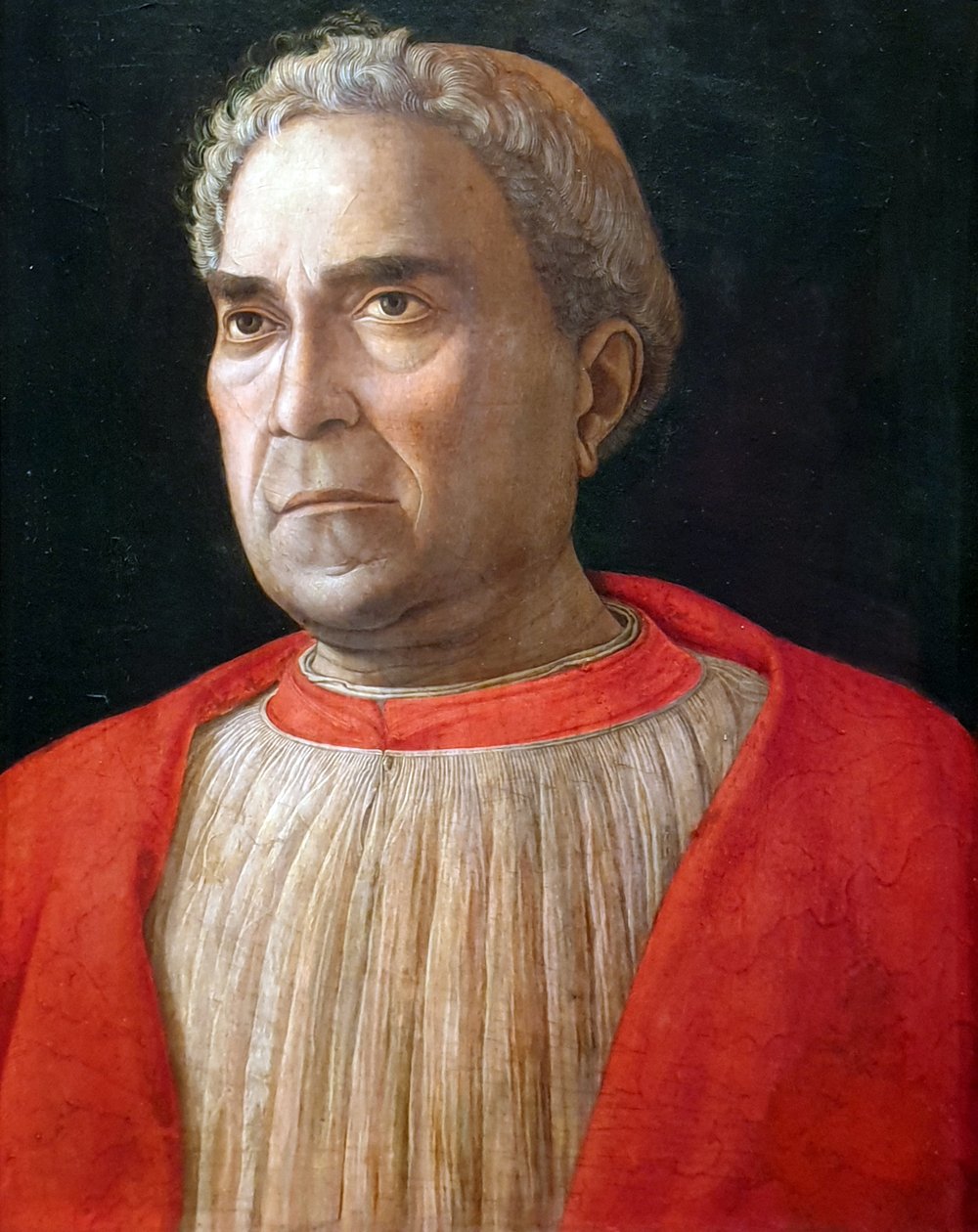德文：Kardinal Ludovico Trevisan (1401-1465) 红衣主教卢多维科-特雷维桑 作者 安德里亚·曼特尼亚（Andrea Mantegna）