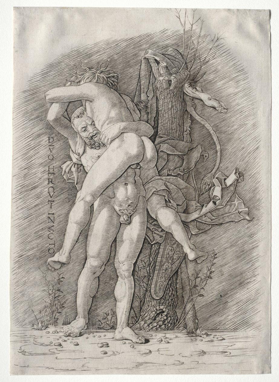 大力神和安塔伊斯，1400年代。 作者 安德里亚·曼特尼亚（Andrea Mantegna）