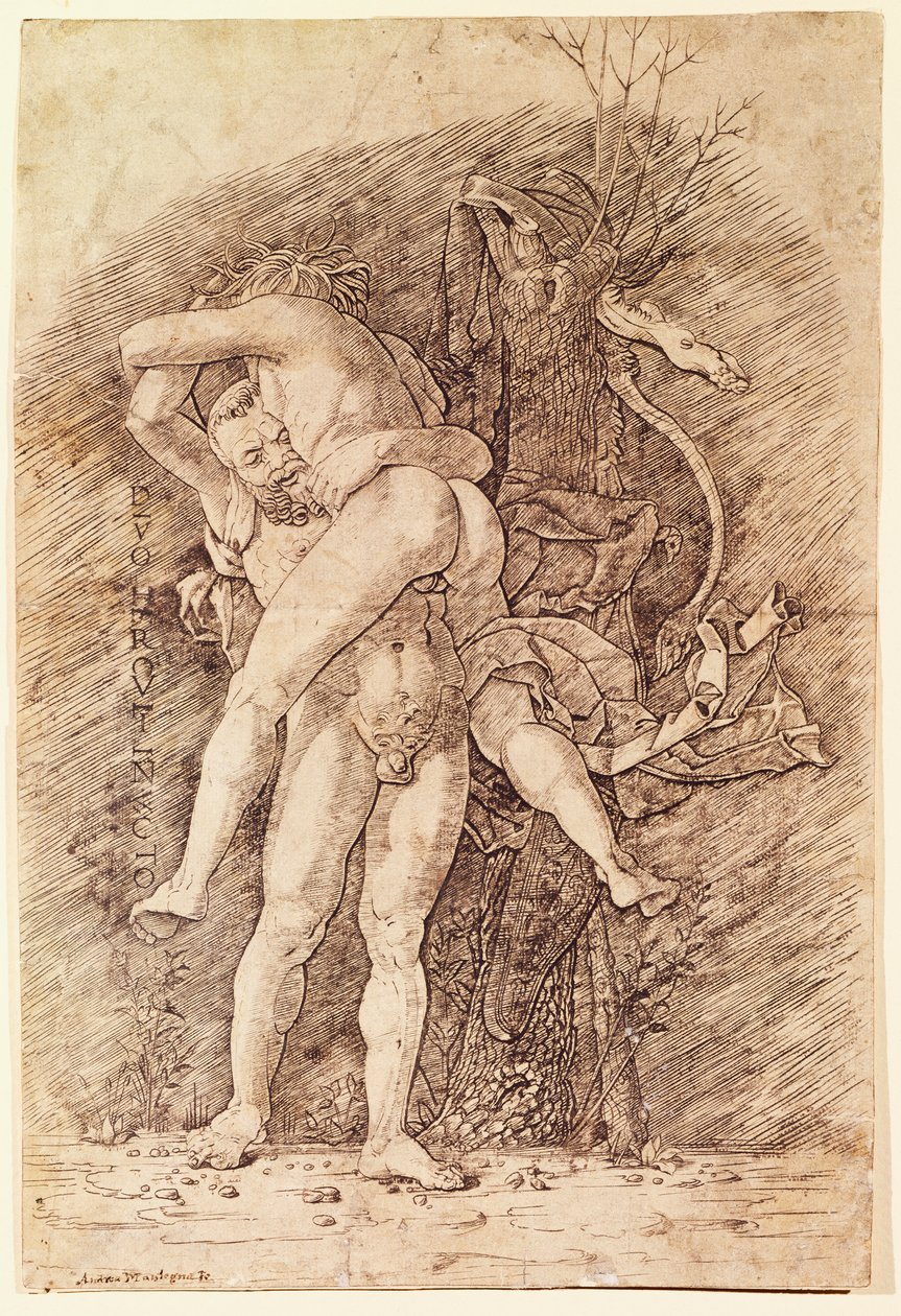 海格力斯和安泰》，安德烈-曼特纳（1431-1506），绘画。 作者 安德里亚·曼特尼亚（Andrea Mantegna）