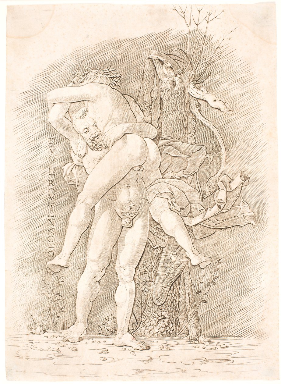 大力士和安忒俄斯 作者 安德里亚·曼特尼亚（Andrea Mantegna）
