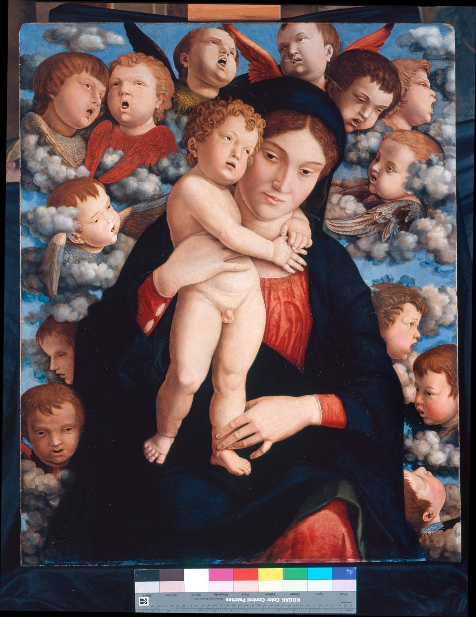 麦当娜和儿童与基路伯合唱团 作者 安德里亚·曼特尼亚（Andrea Mantegna）
