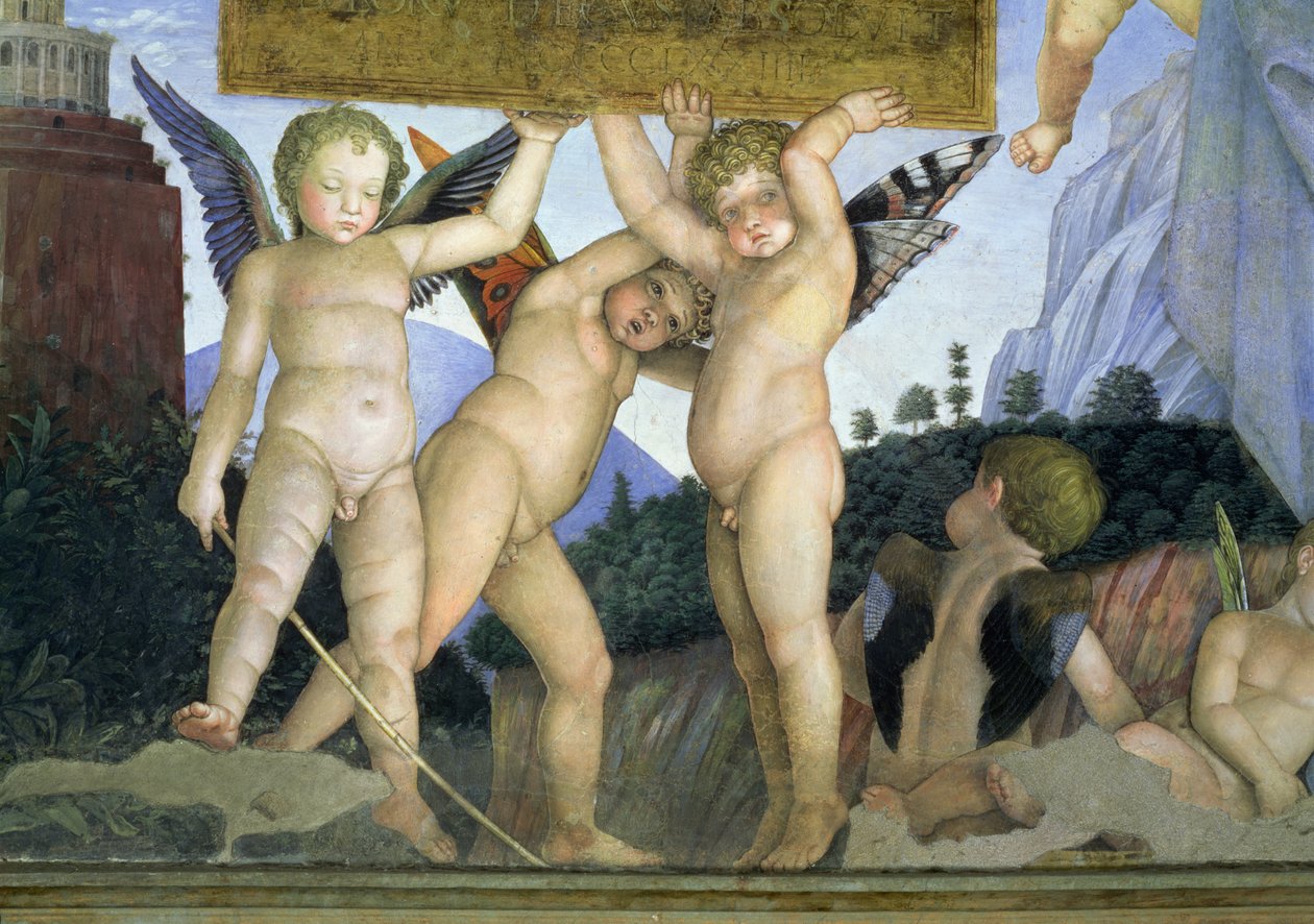 Putti蝴蝶翅膀支持专用牌匾，来自相机degli Sposi或Camera Picta，1465-74壁画细节78449 作者 安德里亚·曼特尼亚（Andrea Mantegna）