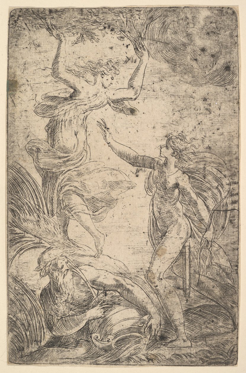 右边的阿波罗（Apollo）手持弓追逐达芙妮（Daphne）在左边，大约。 1538-40。 作者 安德里亚·夏维亚（Andrea Schiavone）