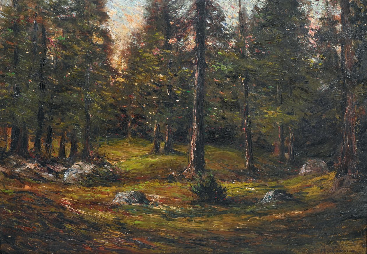 Andrea Tavernier The clearing 作者 安德里亚·塔维尼尔