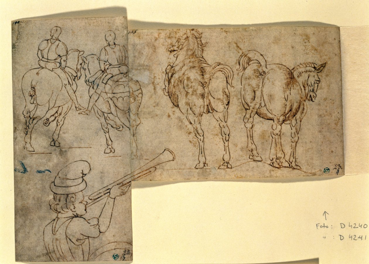 Inv no.38 recto马的草图，c。 1460-70（钢笔和墨水） 作者 安德里亚·韦罗基基奥（Andrea Verrocchio）