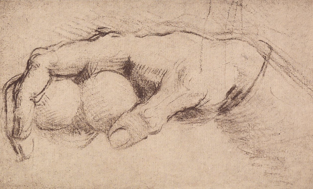 一只手;画画 作者 安德里亚·德尔·萨托（Andrea del Sarto）