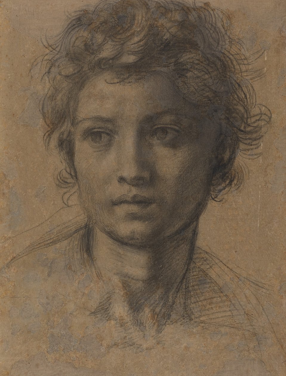 施洗者圣约翰的头像 作者 安德里亚·德尔·萨托（Andrea del Sarto）
