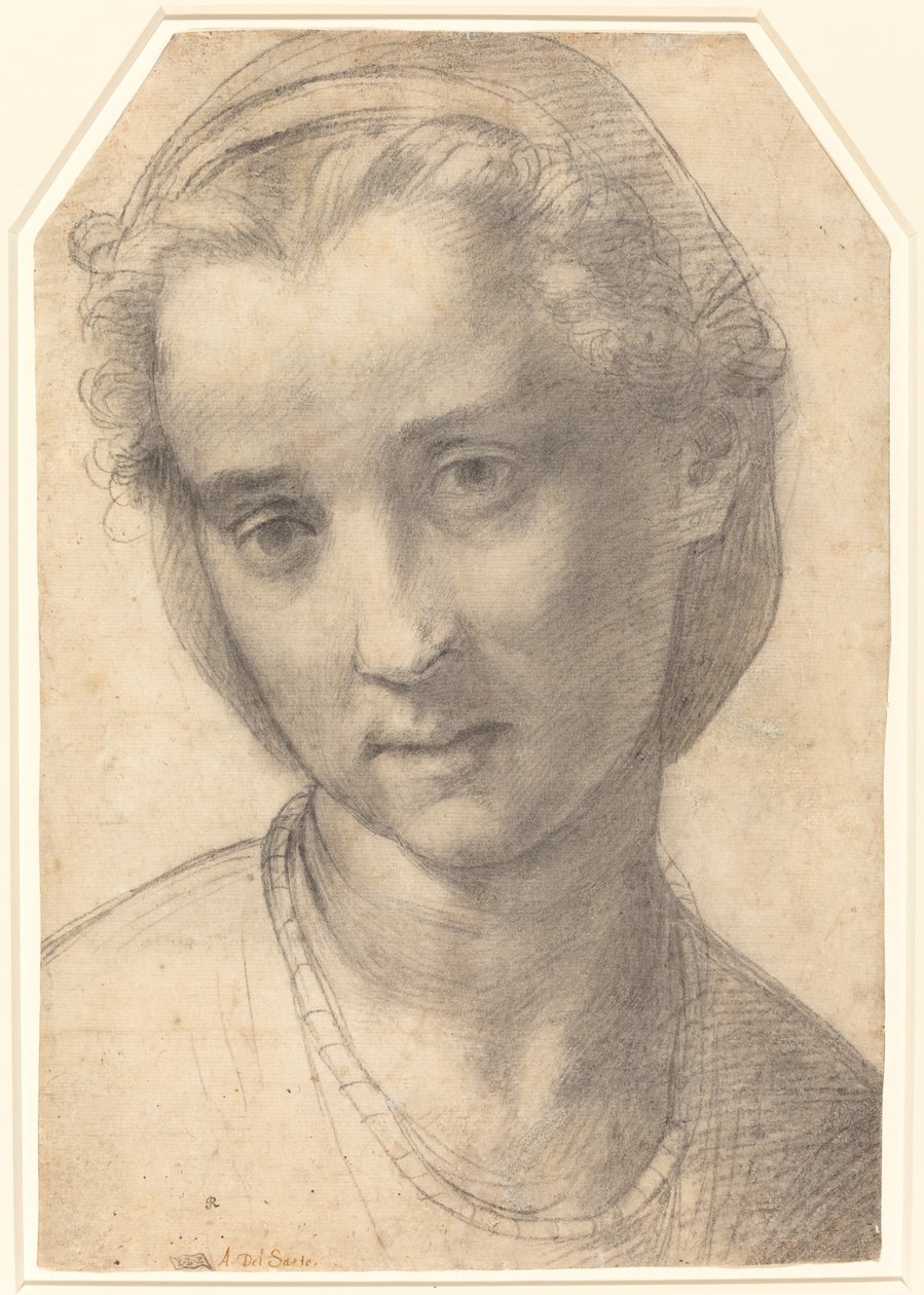 一个女人的头 作者 安德里亚·德尔·萨托（Andrea del Sarto）