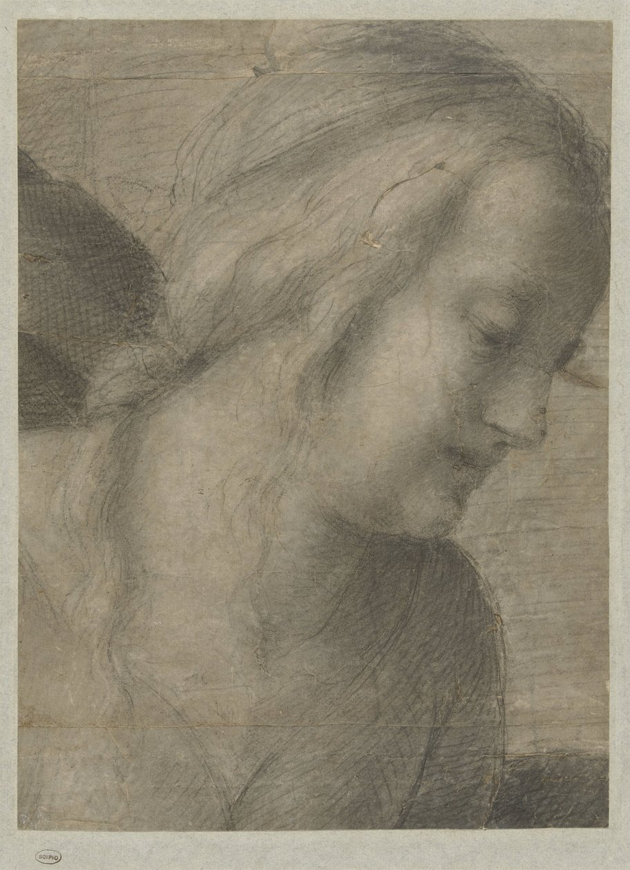 圣母玛利亚的头像，朝拜 作者 安德里亚·德尔·萨托（Andrea del Sarto）