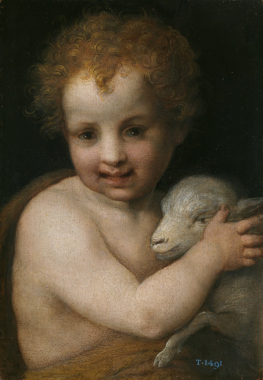 施洗约翰的童年 作者 安德里亚·德尔·萨托（Andrea del Sarto）