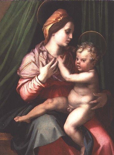 圣母玛利亚和孩子(面板) 作者 安德里亚·德尔·萨托（Andrea del Sarto）