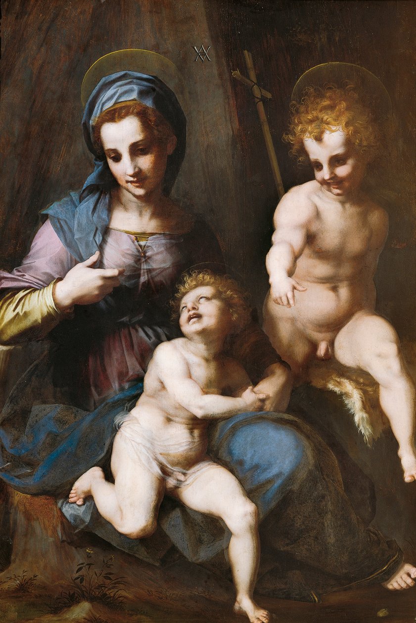 麦当娜和孩子与婴儿圣施洗约翰 作者 安德里亚·德尔·萨托（Andrea del Sarto）
