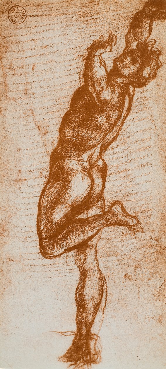 男性人物，由Andrea del Sarto绘制。内阁图纸和版画，乌菲齐画廊，佛罗伦萨 作者 安德里亚·德尔·萨托（Andrea del Sarto）