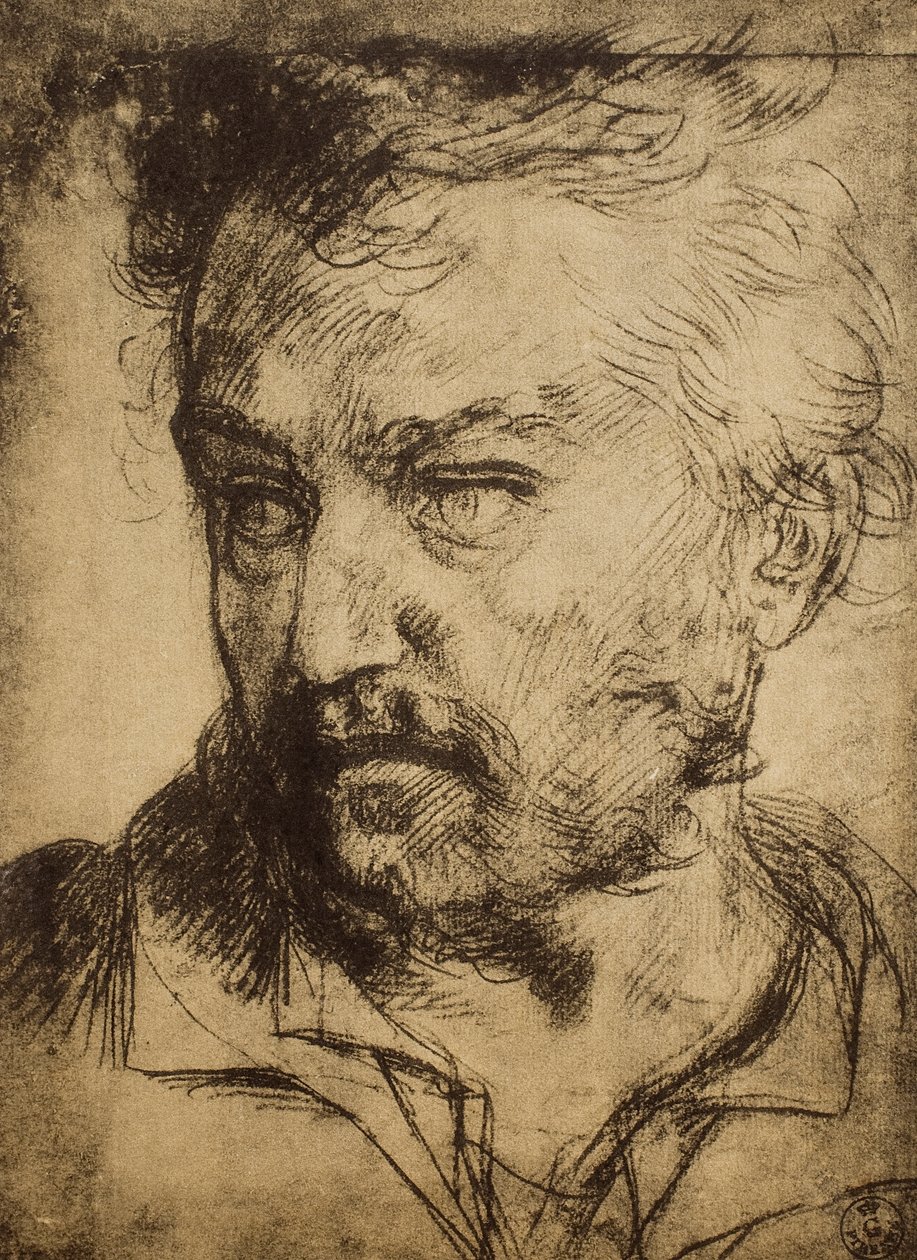 勒芒头;由Andrea del Sarto绘制。内阁图纸和版画，乌菲齐画廊，佛罗伦萨 作者 安德里亚·德尔·萨托（Andrea del Sarto）