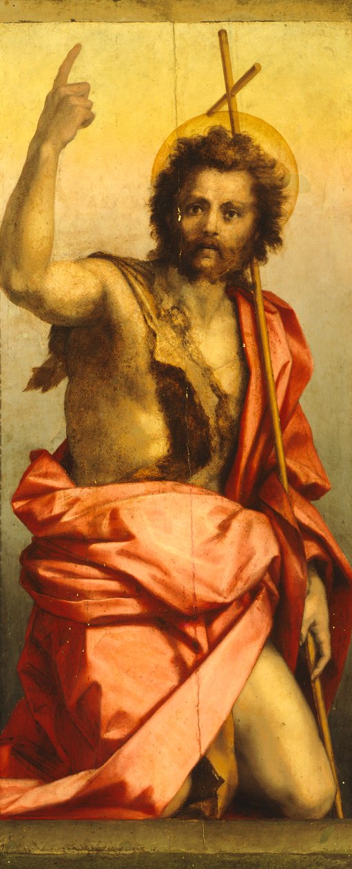 施洗者圣约翰的绘画（面板上的油） 作者 安德里亚·德尔·萨托（Andrea del Sarto）
