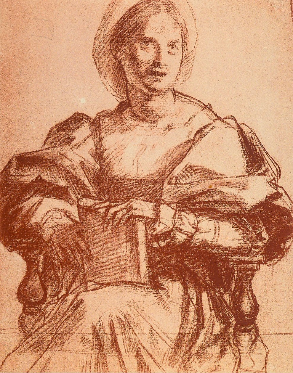 Lucrezia del Fede的肖像 作者 安德里亚·德尔·萨托（Andrea del Sarto）