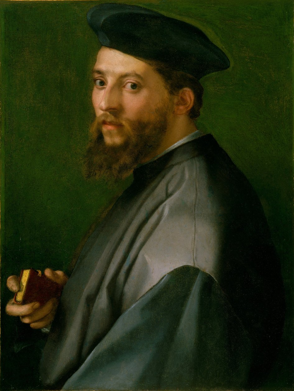 一个人的肖像 作者 安德里亚·德尔·萨托（Andrea del Sarto）
