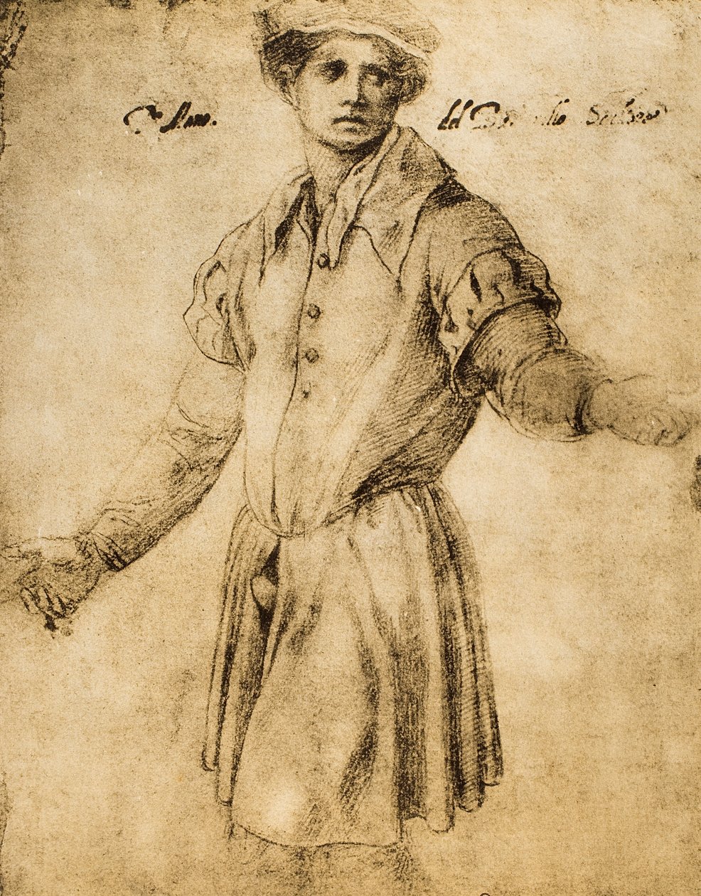 一个年轻的佛罗伦萨的画像 作者 安德里亚·德尔·萨托（Andrea del Sarto）