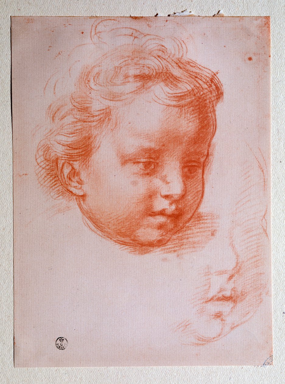 普托的头（绘图 作者 安德里亚·德尔·萨托（Andrea del Sarto）