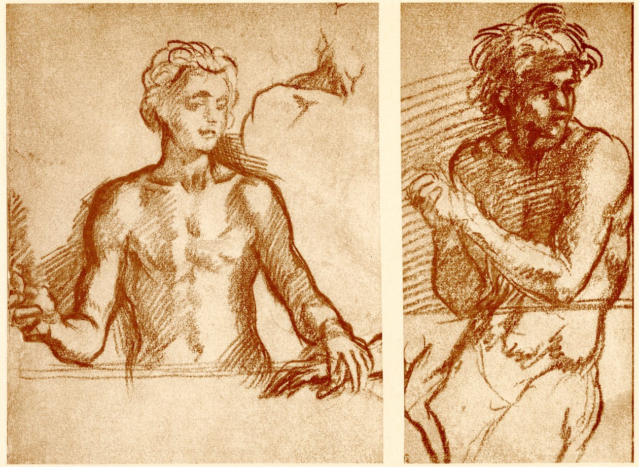 研究基督的形象 作者 安德里亚·德尔·萨托（Andrea del Sarto）