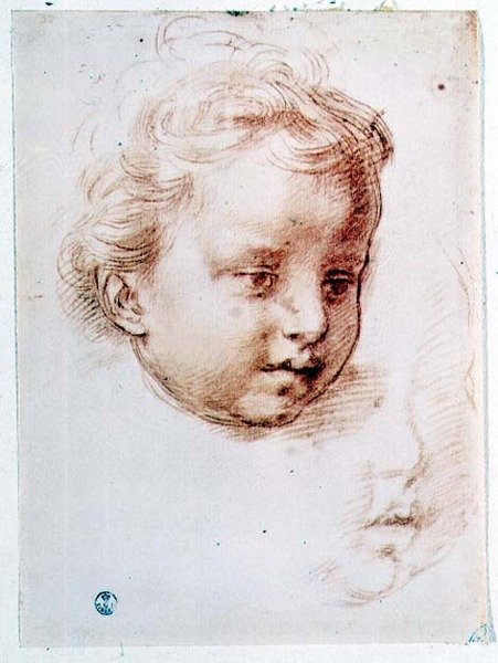 儿童头部研究（纸上粉笔画） 作者 安德里亚·德尔·萨托（Andrea del Sarto）