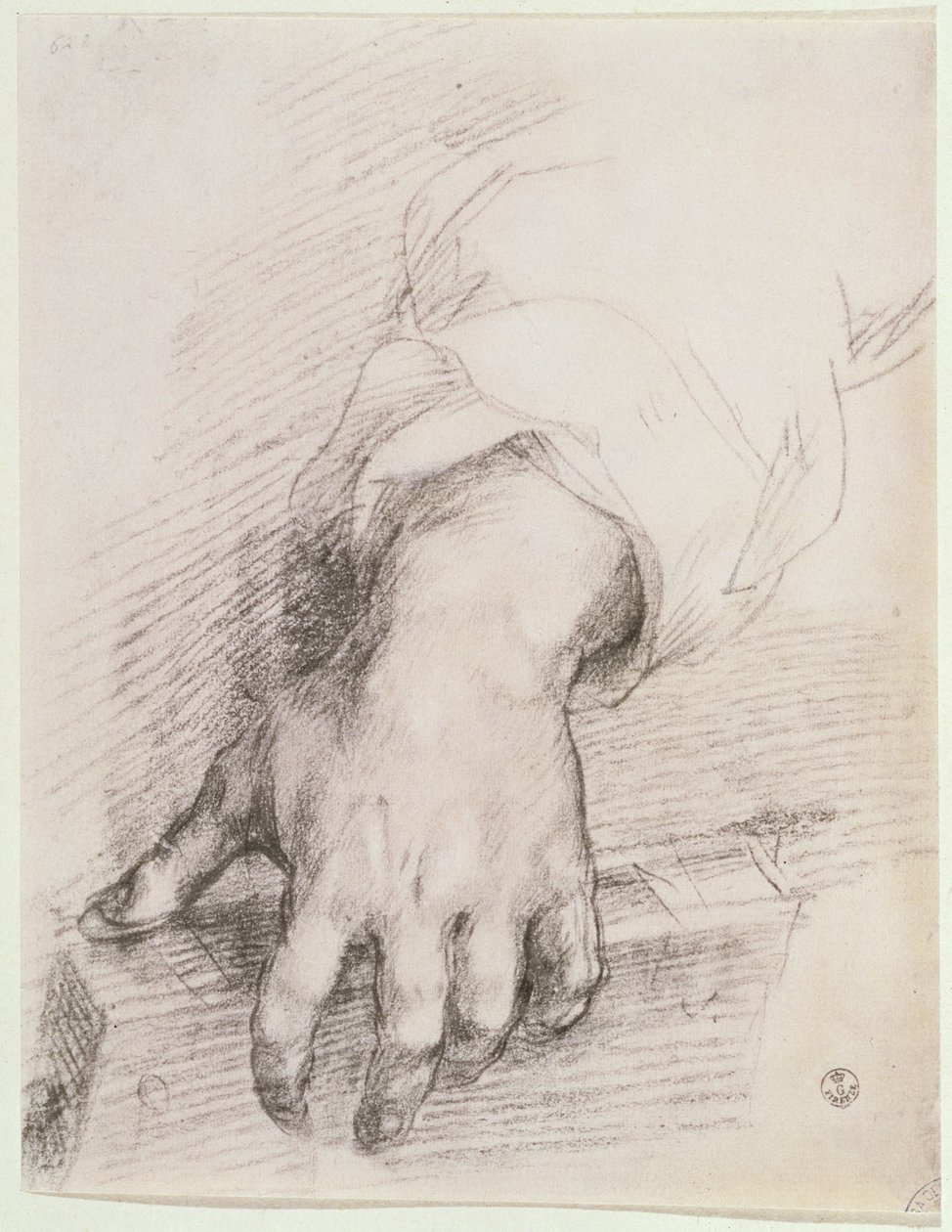 研究竖琴的麦当娜（粉笔在纸上） 作者 安德里亚·德尔·萨托（Andrea del Sarto）
