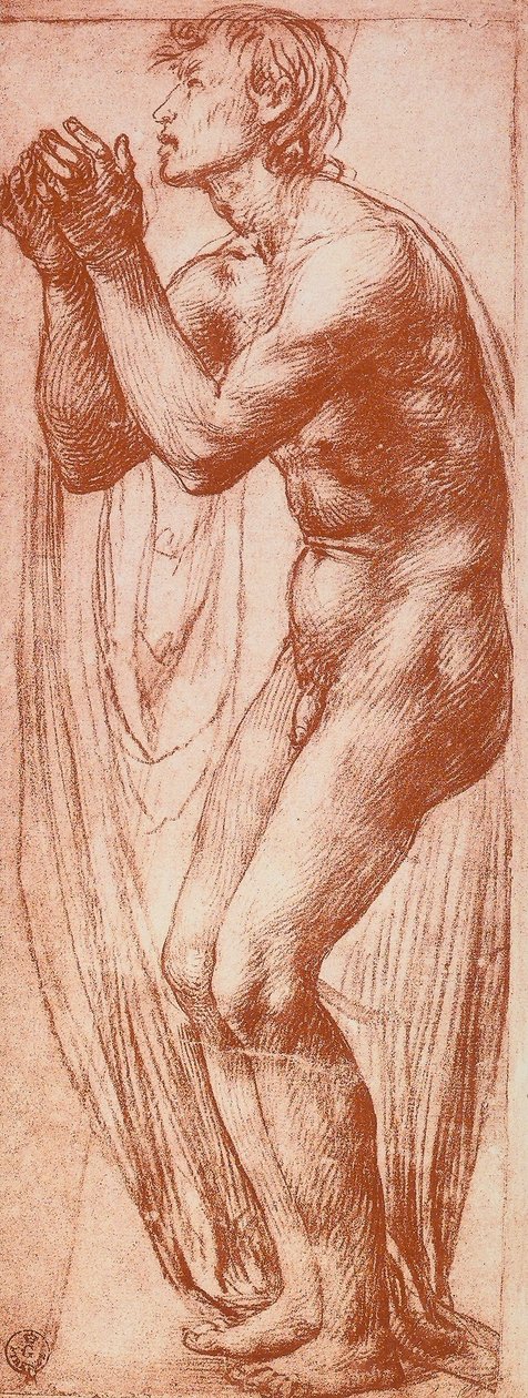 研究男性形象;由Andrea del Sarto绘制。内阁图纸和版画，乌菲齐画廊，佛罗伦萨 作者 安德里亚·德尔·萨托（Andrea del Sarto）