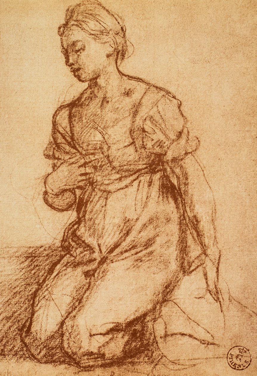 研究一个女人;由Andrea del Sarto绘制。内阁图纸和版画，乌菲齐画廊，佛罗伦萨 作者 安德里亚·德尔·萨托（Andrea del Sarto）