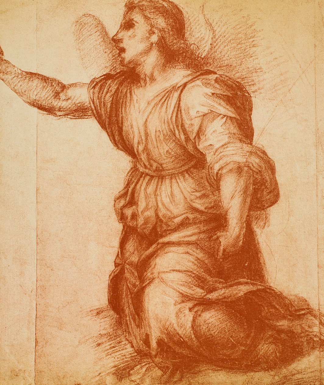 研究一个天使，由Andrea del Sarto绘制，为Palatina画廊现在收藏的公告做了。内阁图纸和版画，乌菲齐画廊，佛罗伦萨 作者 安德里亚·德尔·萨托（Andrea del Sarto）