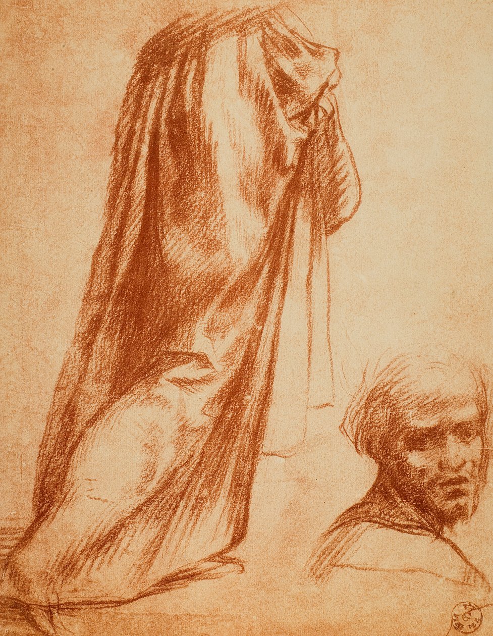 研究帷幔和男性肖像;由Andrea del Sarto绘制。内阁图纸和版画，乌菲齐画廊，佛罗伦萨 作者 安德里亚·德尔·萨托（Andrea del Sarto）