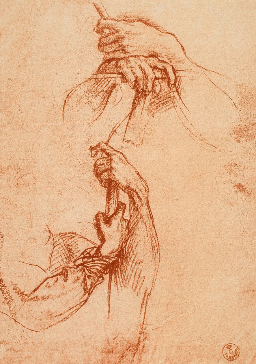 研究手 作者 安德里亚·德尔·萨托（Andrea del Sarto）