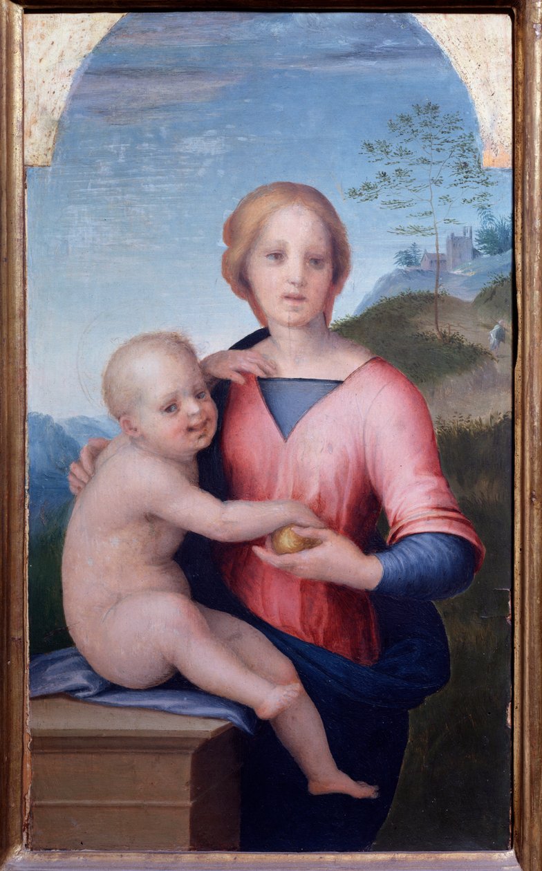 圣母与孩子（绘画 作者 安德里亚·德尔·萨托（Andrea del Sarto）