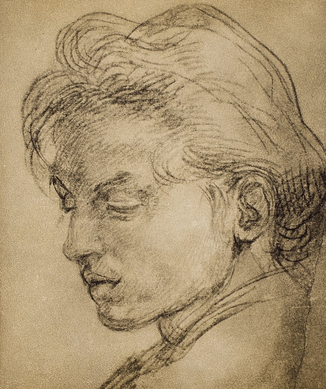 温柔的头部轮廓 作者 安德里亚·德尔·萨托（Andrea del Sarto）