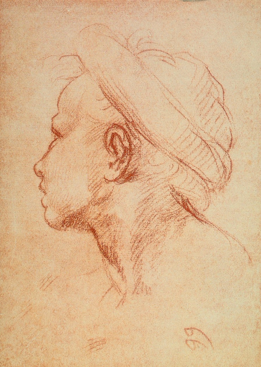青少年负责人 作者 安德里亚·德尔·萨托（Andrea del Sarto）