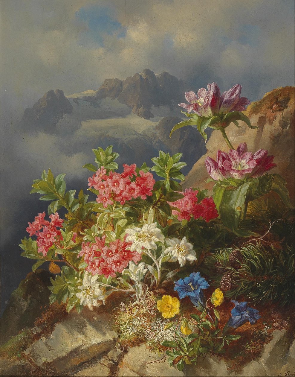 高山花卉静物画 作者 安德烈亚斯·拉奇（Andreas Lach）