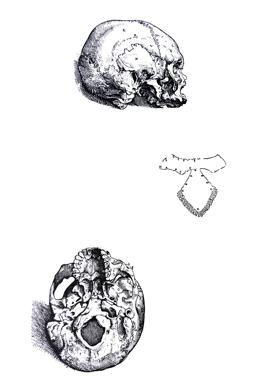 De Humani Corporis Fabrica第一本书中的版画 作者 安德鲁·维萨利厄斯