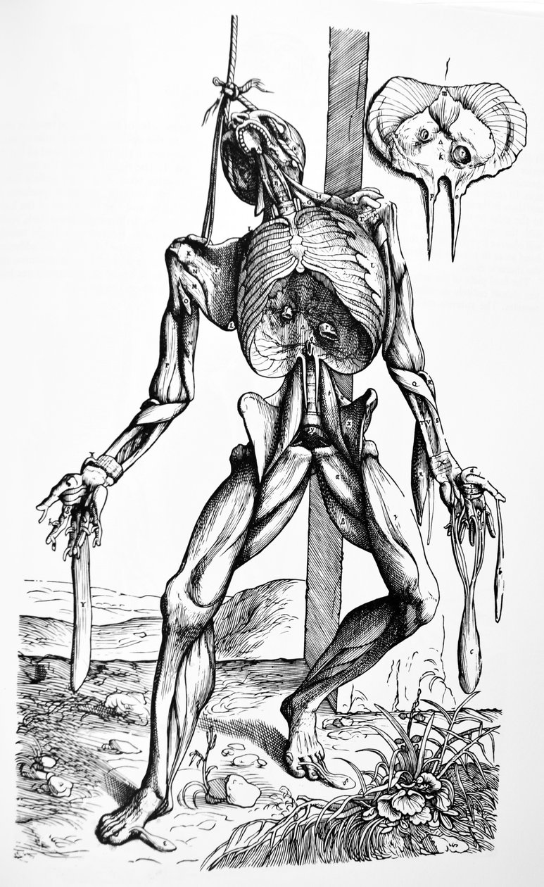 De Humani Corporis Fabrica第二本书中的版画 作者 安德鲁·维萨利厄斯