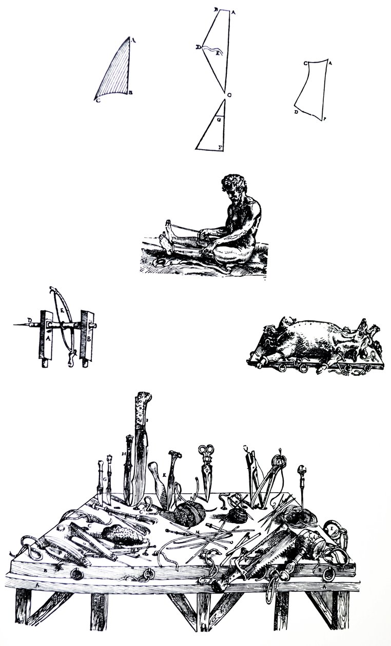 De Humani Corporis Fabrica第二本书中的版画 作者 安德鲁·维萨利厄斯