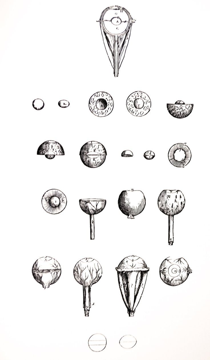 De Humani Corporis Fabrica第七册中的版画 作者 安德鲁·维萨利厄斯
