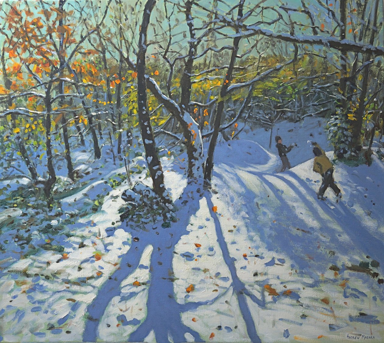 Allestree Park Woods 2010年11月 作者 安德鲁·马卡拉（Andrew Macara）