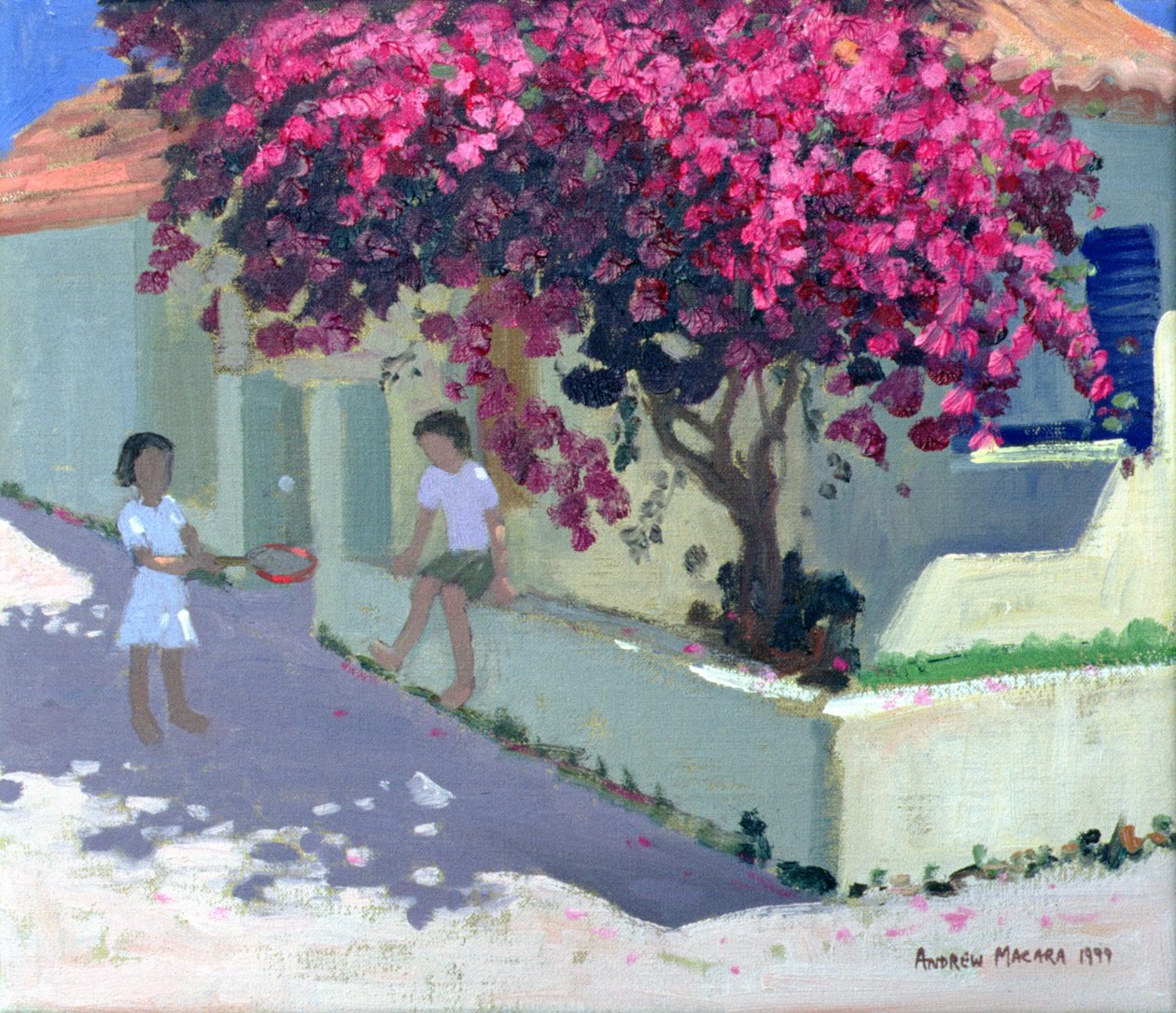 Bougainvillaea，Zante，1999 作者 安德鲁·马卡拉（Andrew Macara）