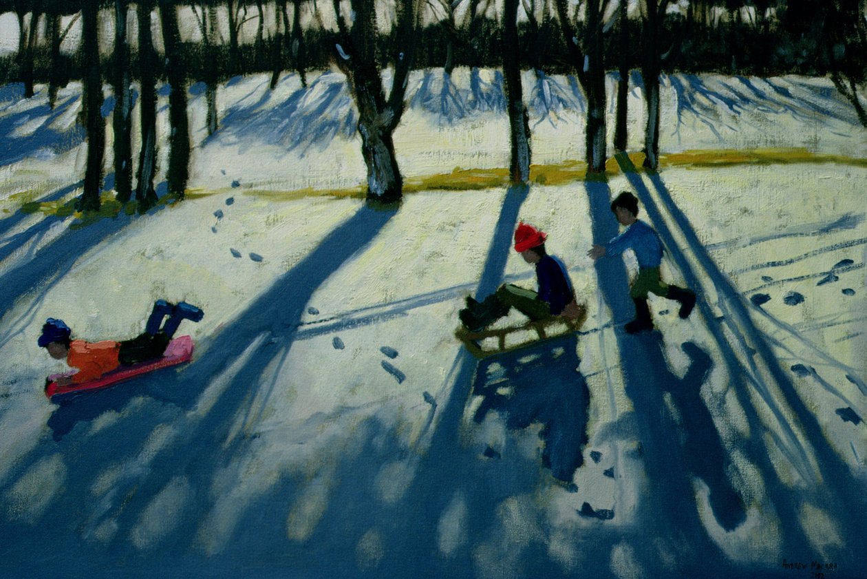 男孩雪橇，Allestree公园，德比 作者 安德鲁·马卡拉（Andrew Macara）