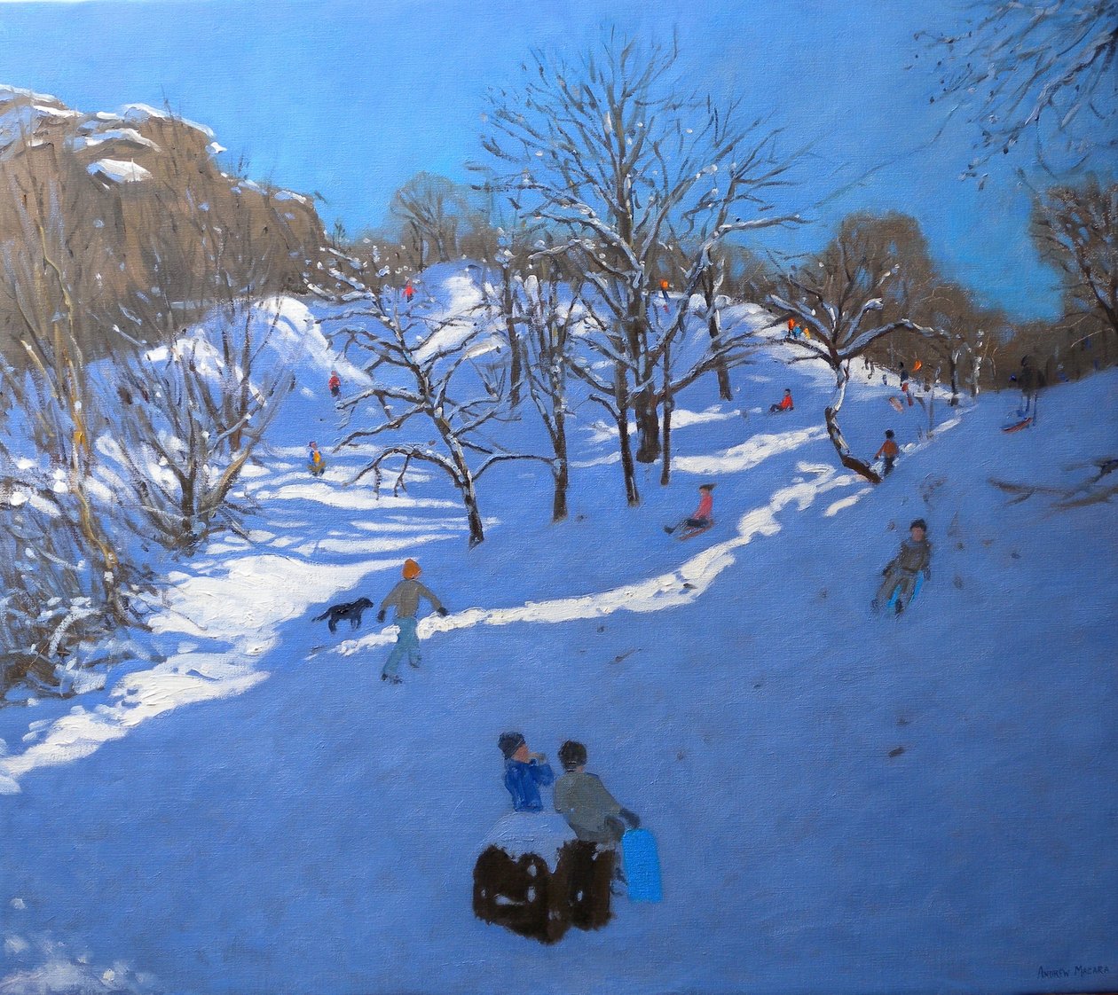 明亮的早晨在黑岩，德比郡，2009年 作者 安德鲁·马卡拉（Andrew Macara）