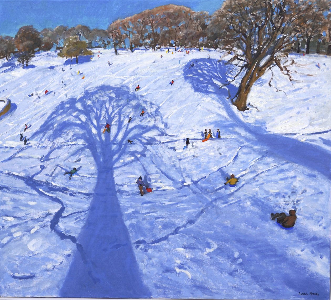 查茨沃斯，冬季树影，2013年， 作者 安德鲁·马卡拉（Andrew Macara）