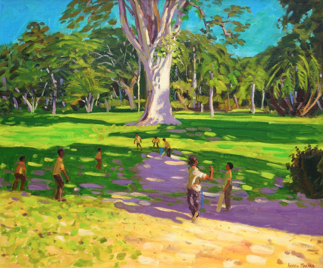 板球比赛，植物园，多米尼克，格林纳丁斯.2011， 作者 安德鲁·马卡拉（Andrew Macara）