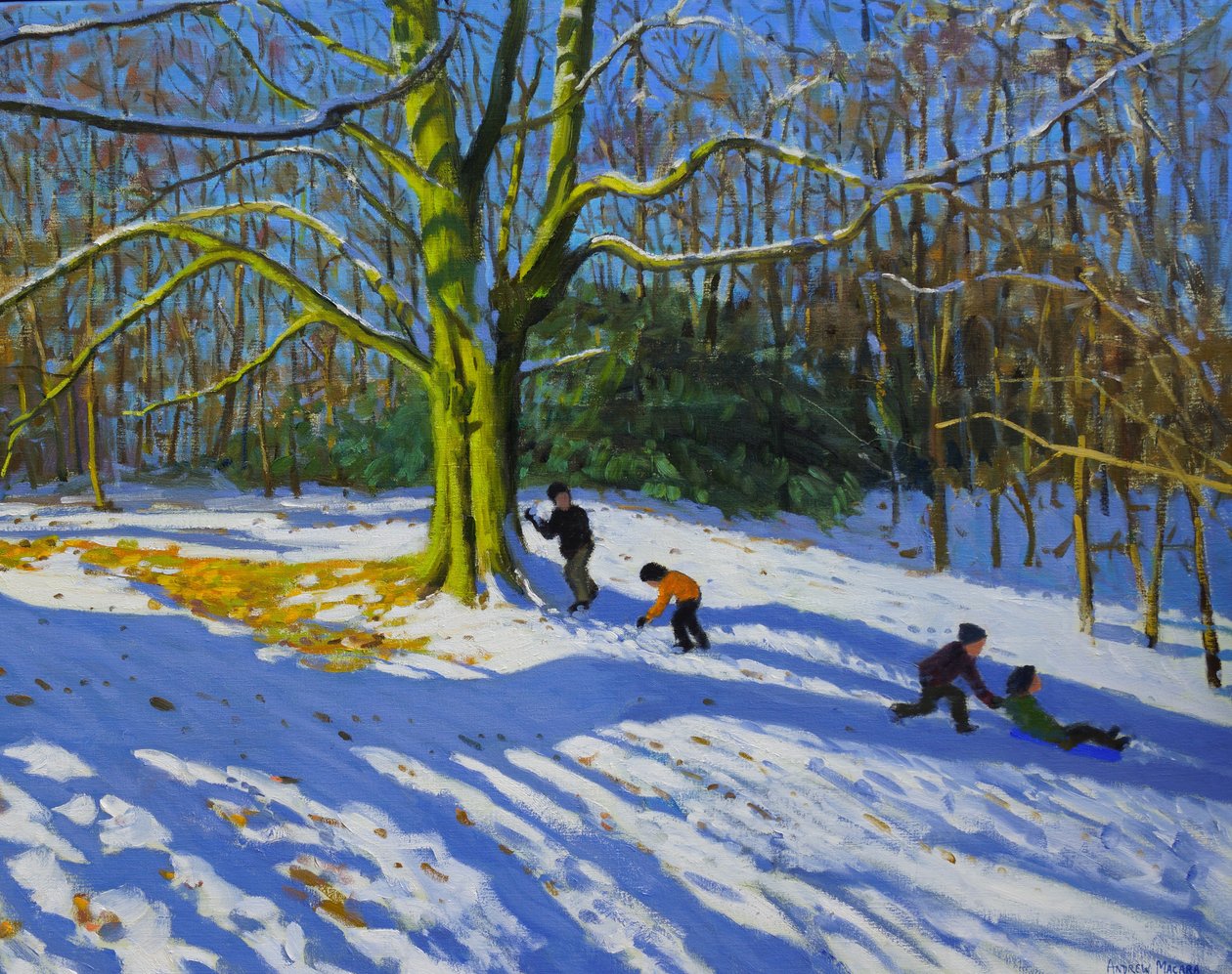 Allestree公园上面细节，2014年，在帆布的油 作者 安德鲁·马卡拉（Andrew Macara）
