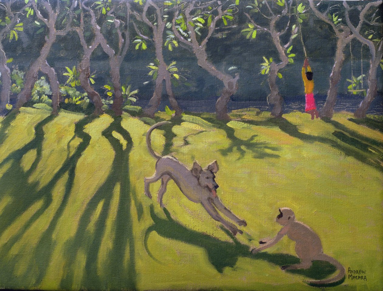 狗和猴子，斯里兰卡，1998年 作者 安德鲁·马卡拉（Andrew Macara）
