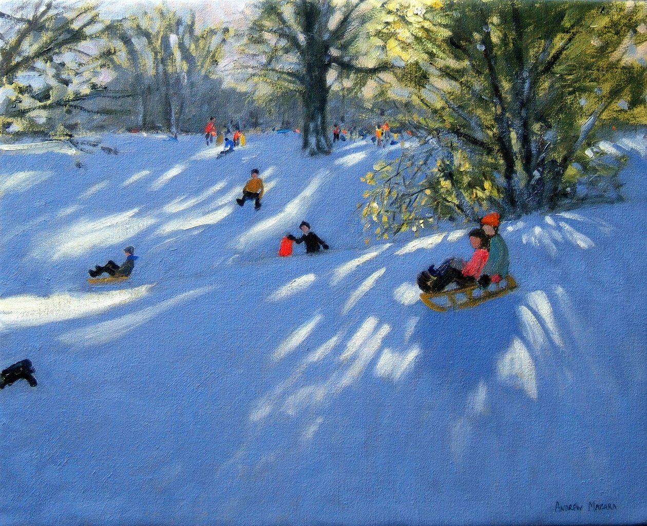 早起的雪，达利公园，德比 作者 安德鲁·马卡拉（Andrew Macara）
