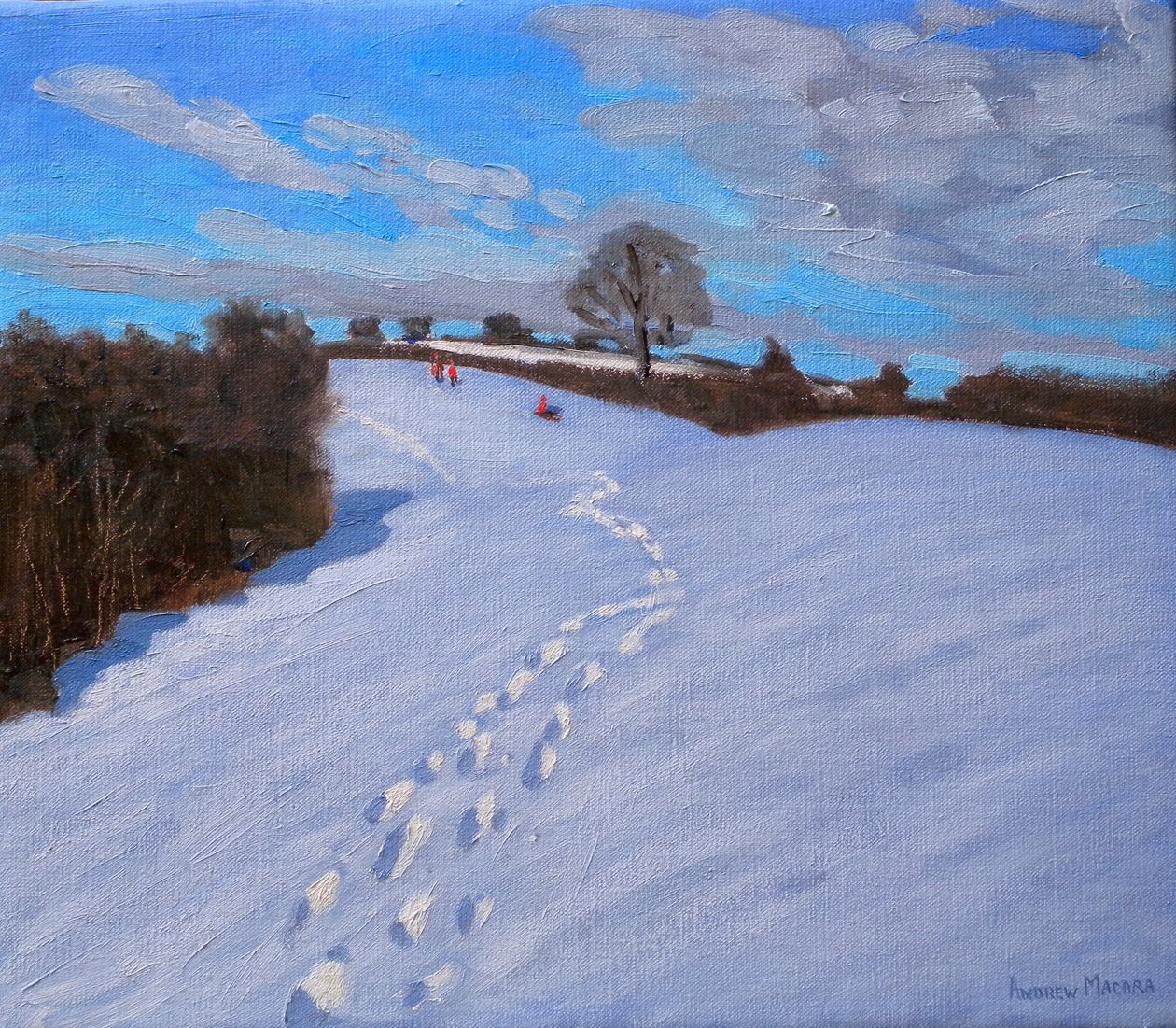 雪中的脚印，2009年 作者 安德鲁·马卡拉（Andrew Macara）