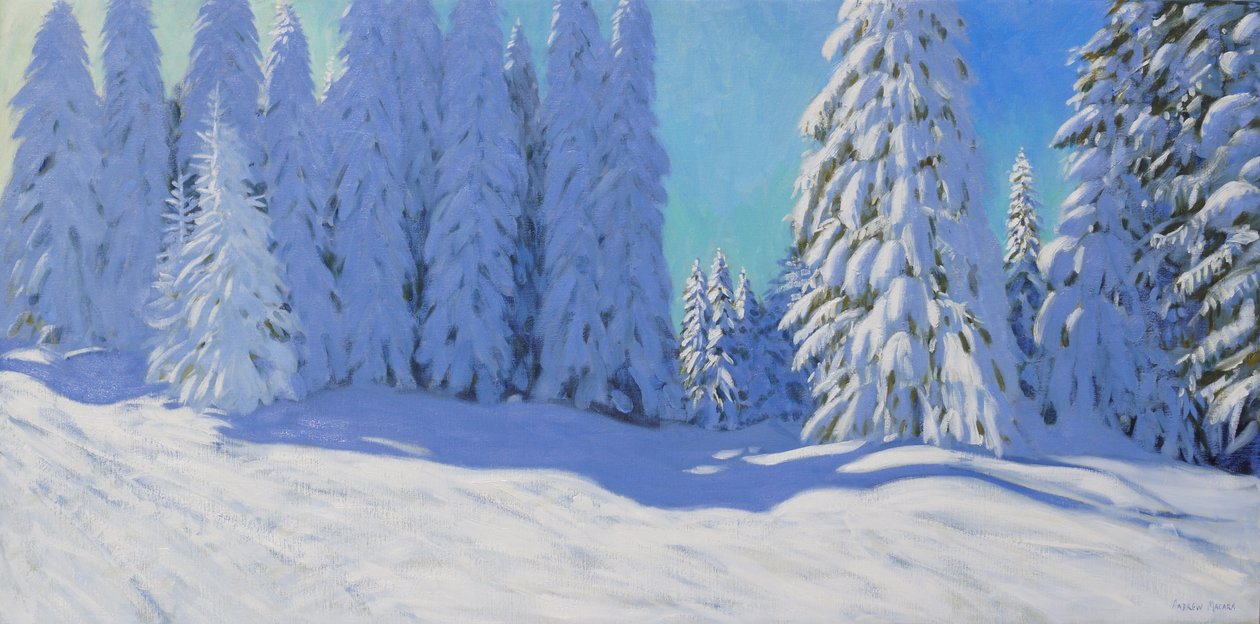 新鲜的雪，Morzine，法国，2015， 作者 安德鲁·马卡拉（Andrew Macara）